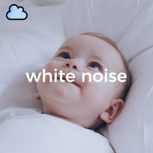 Dreamland Serenades: Gentle White Noise for Slumber - Sleepy Koala Music
