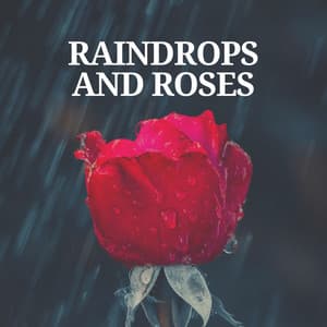 Raindrops and Roses - Rain Sounds & White Noise