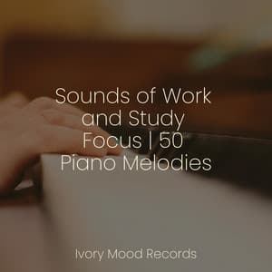 Sounds of Work and Study Focus | 50 Piano Melodies - Ivory Mood