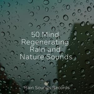 50 Mind Regenerating Rain and Nature Sounds - Ocean Waves For Sleep