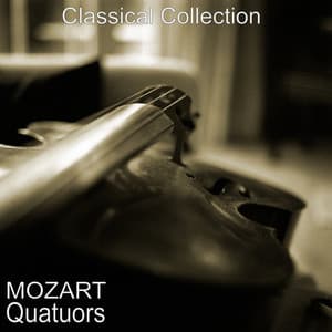 Mozart : Quatuors - Wolfgang Amadeus Mozart