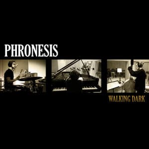 Walking Dark - Phronesis