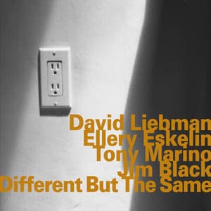 Different but the Same - Dave Liebman