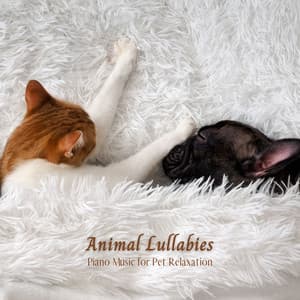 Animal Lullabies: Piano Music for Pet Relaxation - Piano Animal