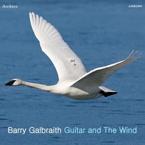 Guitar And the Wind - Barry Galbraith