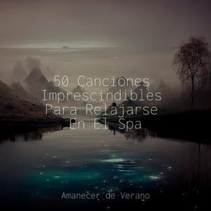 50 Canciones Imprescindibles Para Relajarse En El Spa - Sonidos De Lluvia y Tormentas