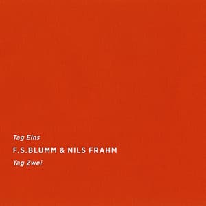 Tag Eins Tag Zwei - F.S.Blumm