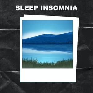Sleep Insomnia - Sleep Insomnia