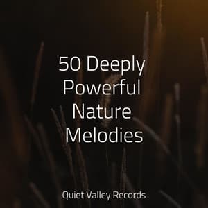 50 Deeply Powerful Nature Melodies - Pro Sounds of Nature