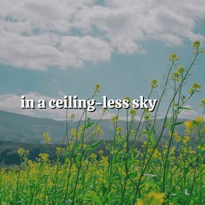 In a Ceiling-less Sky - Naturalis