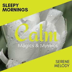 Sleepy Mornings - Serene Melody - Relaxing Minds