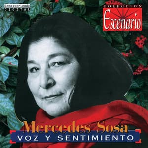 Voz Y Sentimiento - Mercedes Sosa