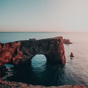 Calm & Soft Melodies | Relaxation - Powerthoughts Meditation Club