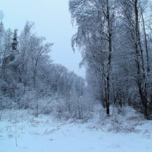 ! ! ! ! Melancholy - Música Relajante