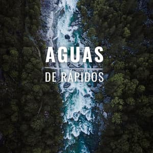 Aguas De Rápidos - Música de la naturaleza Canciones de la naturaleza