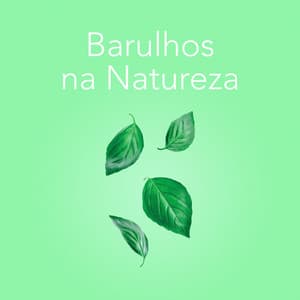 Barulhos da Natureza - Sons da Natureza