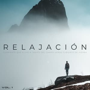 Relajación: Corriente Que Fluye A Través Del Campo Verde Cubierto De Hierba Vol. 1 - Sonidos de la naturaleza con música