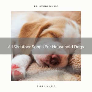 All Weather Songs For Household Dogs - Dog Total Relax