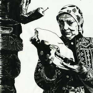 Mount Eerie - The Microphones