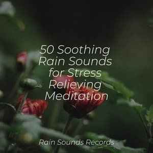 50 Soothing Rain Sounds for Stress Relieving Meditation - Sleep Sounds of Nature