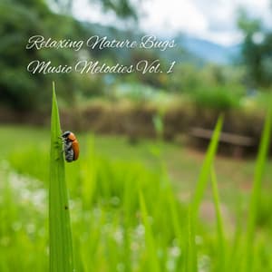 Relaxing Nature Bugs Music Melodies Vol. 1 - Classical Music For Relaxation
