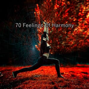70 Feelings Of Harmony - Meditation Focus