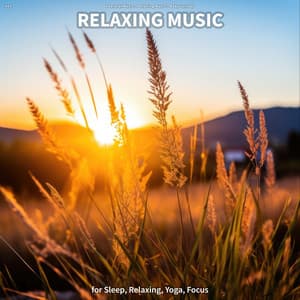 #01 Relaxing Music for Sleep, Relaxing, Yoga, Focus - Peaceful Music