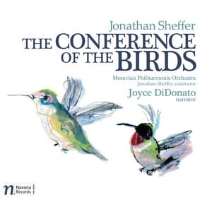 Jonathan Sheffer: The Conference of the Birds - Jonathan Sheffer
