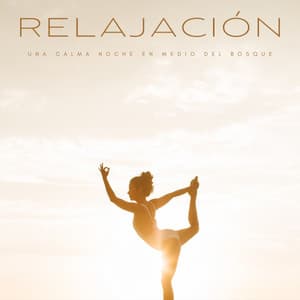 Relajación: Una Calma Noche En Medio Del Bosque - Serenidad Academy