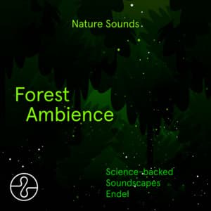 Nature Sounds: Forest Ambience - Endel