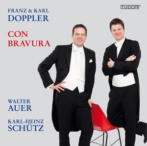 Franz & Karl Doppler: Con Bravura - Franz Doppler