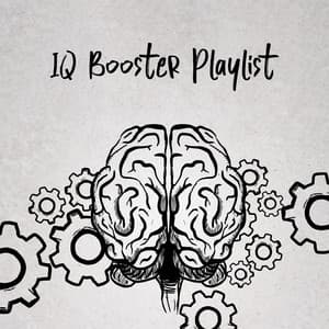 IQ Booster Playlist - Amanda Soho