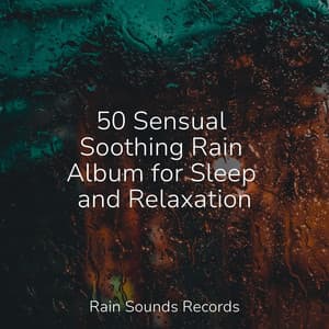 50 Sensual Soothing Rain Album for Sleep and Relaxation - Canciones De Cuna