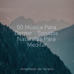 50 Música Para Dormir - Sonidos Naturales Para Meditar - PowerThoughts Meditation Club