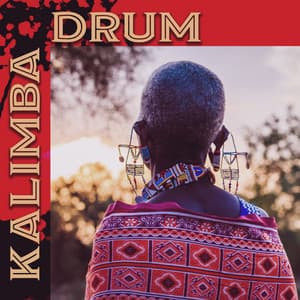 Kalimba Drum - Kenny Woid