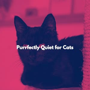 Purrfectly Quiet for Cats - For Cats Only