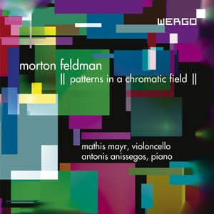 Morton Feldman: Patterns in a Chromatic Field - Morton Feldman