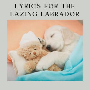 Lyrics for the Lazing Labrador - Dog Relaxation