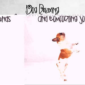 Dog Relaxing And Comforting Sounds - Blossom In Winter