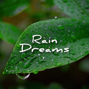 Rain Dreams - Sounds Of Nature