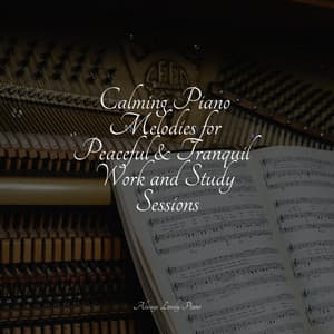 Calming Piano Melodies for Peaceful & Tranquil Work and Study Sessions - Calming Baby Sleep Music Club
