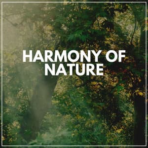 Harmony of Nature - Naturalis