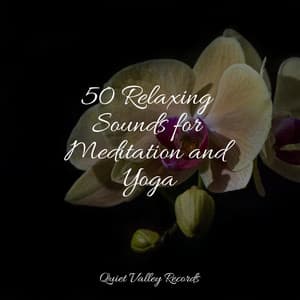 50 Relaxing Sounds for Meditation and Yoga - Ambient Nature White Noise