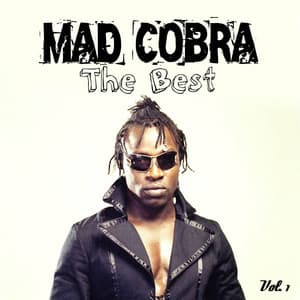 The Best, Vol.1 - Mad Cobra