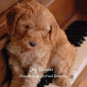Dog Dreams: Piano Music for Rest and Relaxation - Piano Music To Fall Asleep Faster