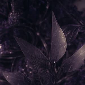 Morning Awareness - Eny Time