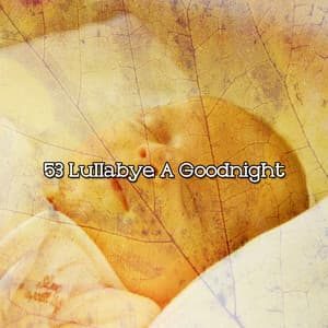 53 Lullabye A Goodnight - Pet Relax Academy