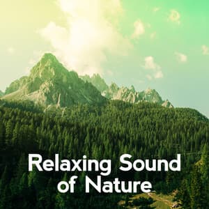 Relaxing Sound of Nature - Relaxing Sounds Of Nature