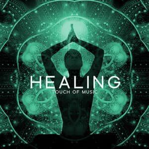 Healing Touch of Music: Balance the Chakras & Unlock the Energy Flow - Healing Yoga Meditation Music Consort