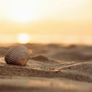 Learning From Life - Beats De Rap